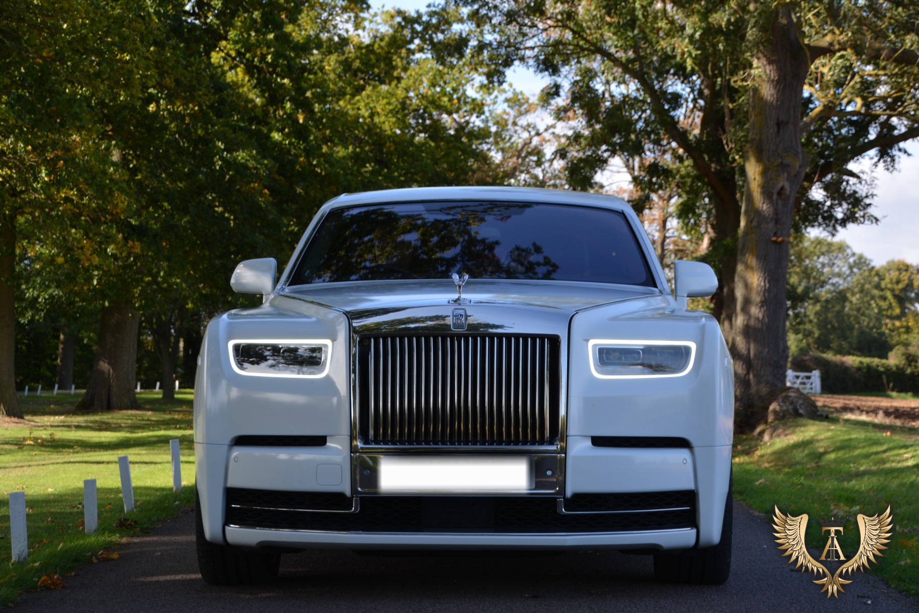 Luxury chauffeur vehicle detail — TIA Luxury executive car service